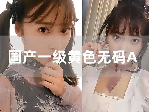 国产有码在线播放